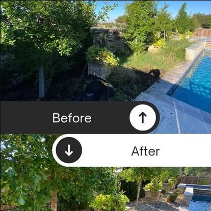Complete backyard and pool landscape transformation