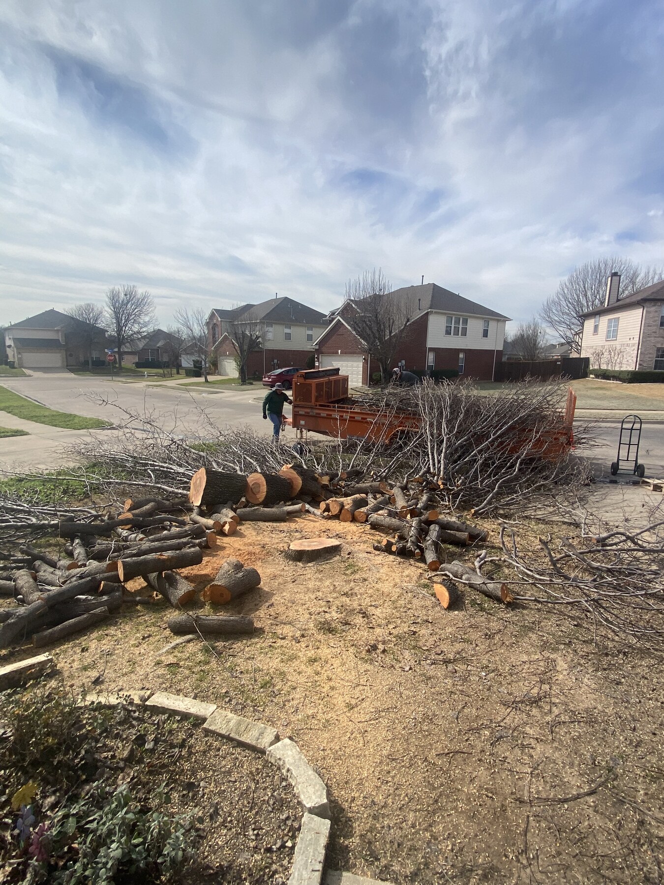 Tree removal project with cut branches, logs and equipment