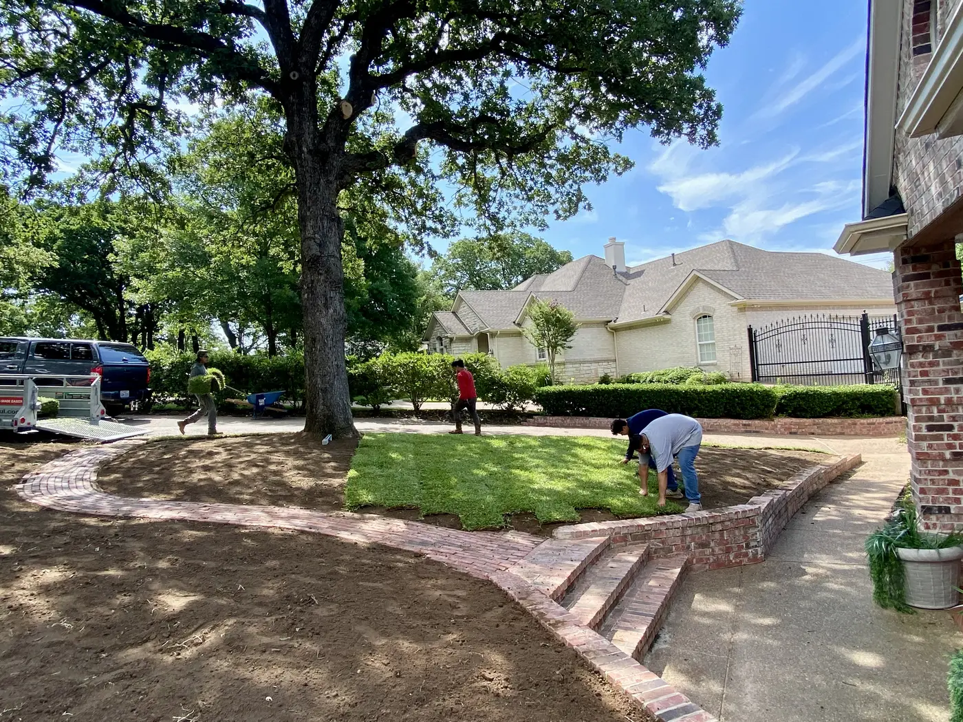 Sod and topsoil work around mature trees and landscape beds
